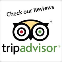 Reviews_TripAdvisor